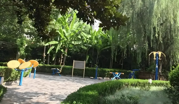 深圳积分入户电工初级证_《你行！你上！》与姜文电影：“登味”的衰落 网微维码创业信二扫描